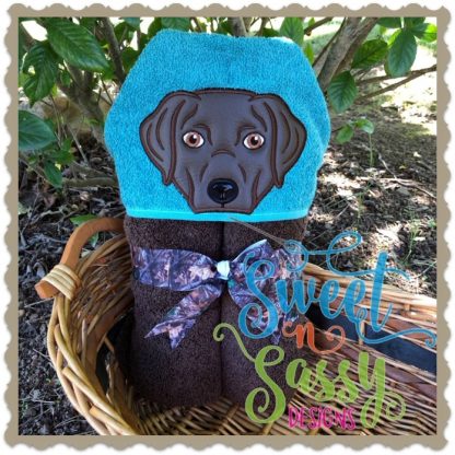 Labrador Retrievers - Image 3